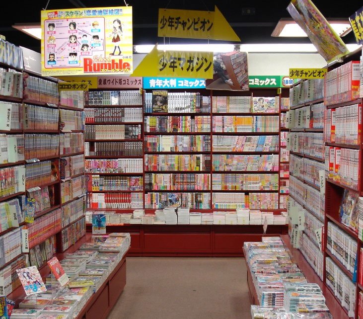 bibliothèque manga