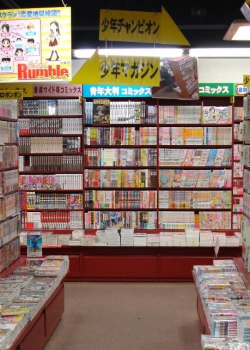 bibliothèque manga